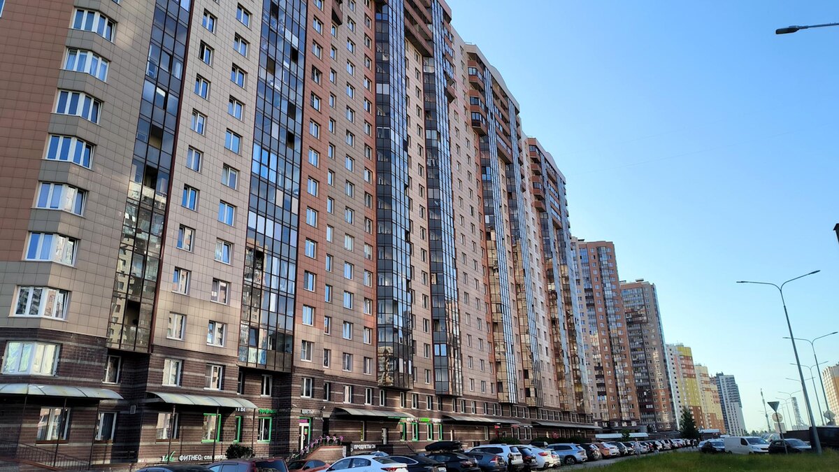    Фото: Maksim Konstantinov/globallookpress.com