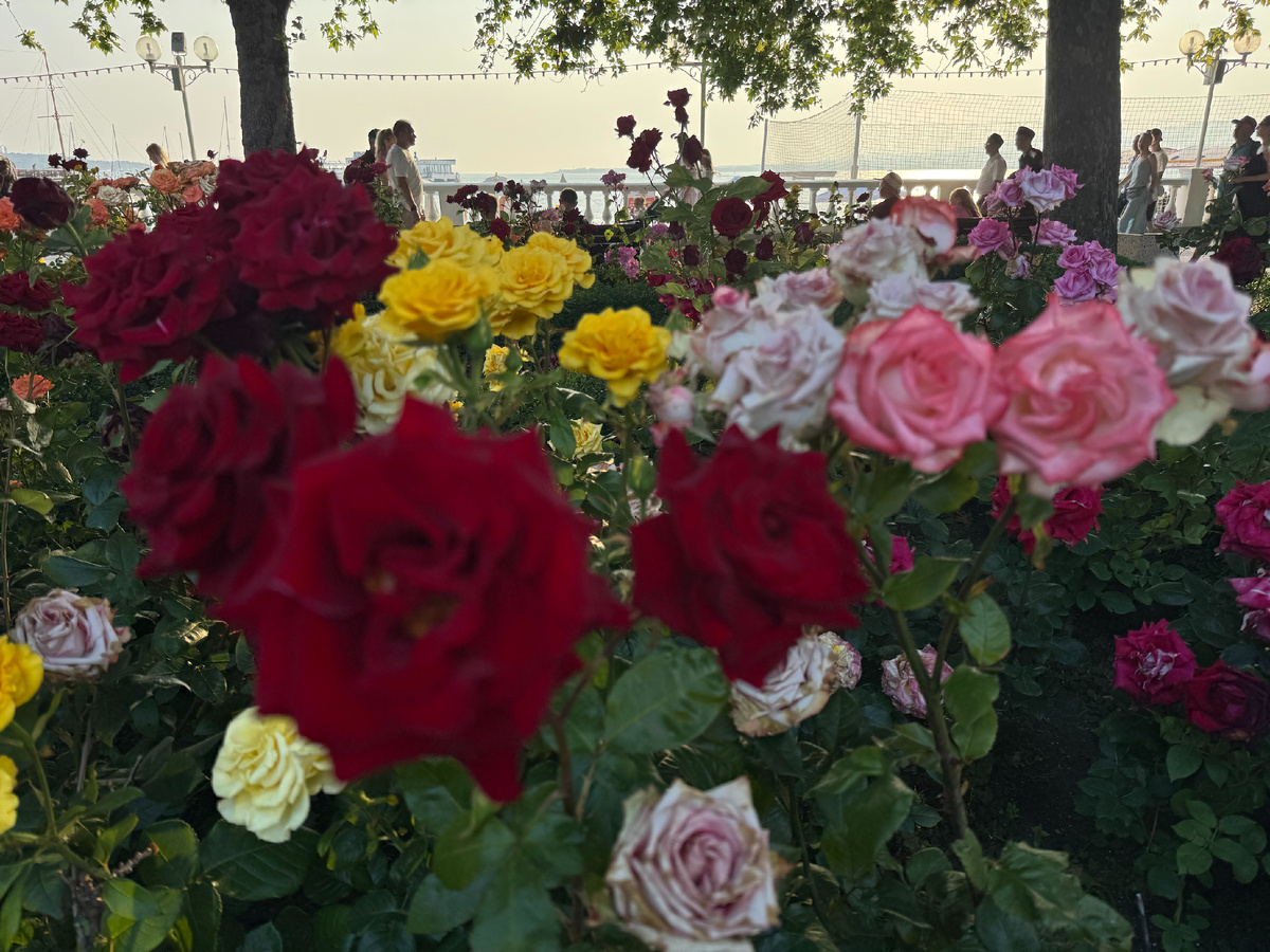 Фото автора