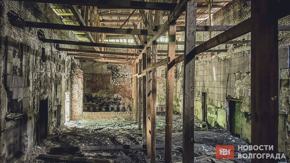     Автор: Антон Засимов Источник: novostivolgograda.ru