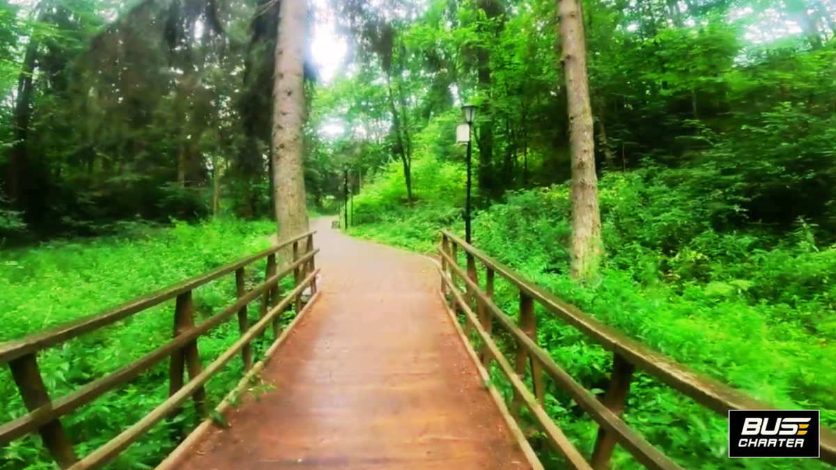 Автобусный тур, Тур выходного дня