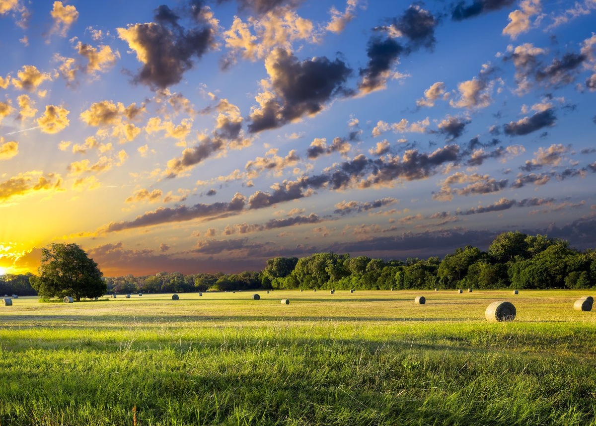    Фото: iStock/ Dean_Fikar