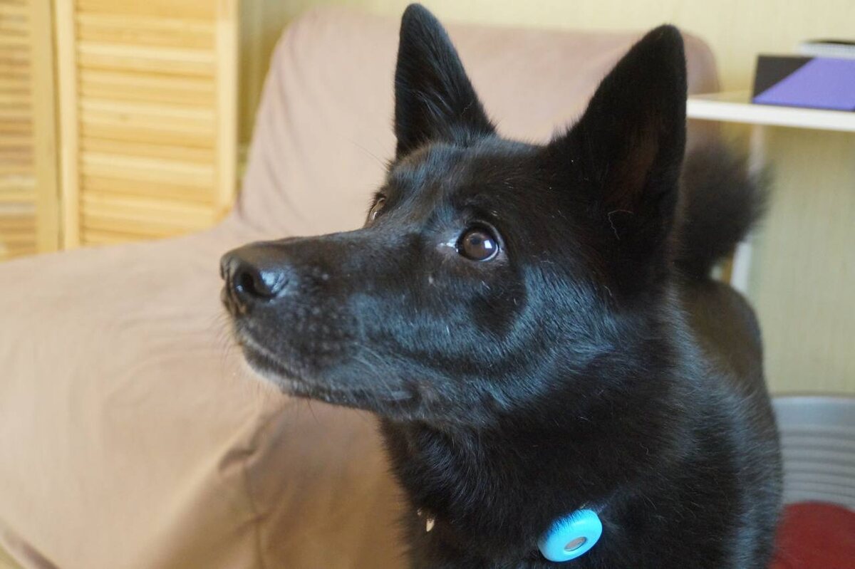 Может вы с ошибками пишите и мне из-за этого не звонят теперь больше?