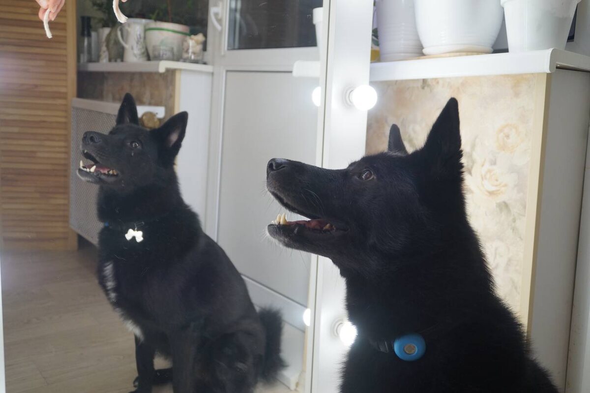 Раз - чертенок. Два - чертенок.