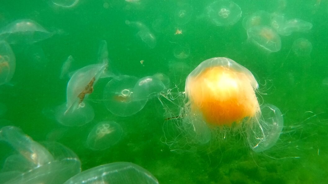    Thomas Müller/dpa/Globallookpress