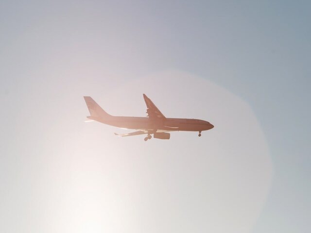    Фото: depositphotos/Shebeko