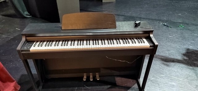 На деньги тверского депутата для детей приобретены музыкальные инструменты