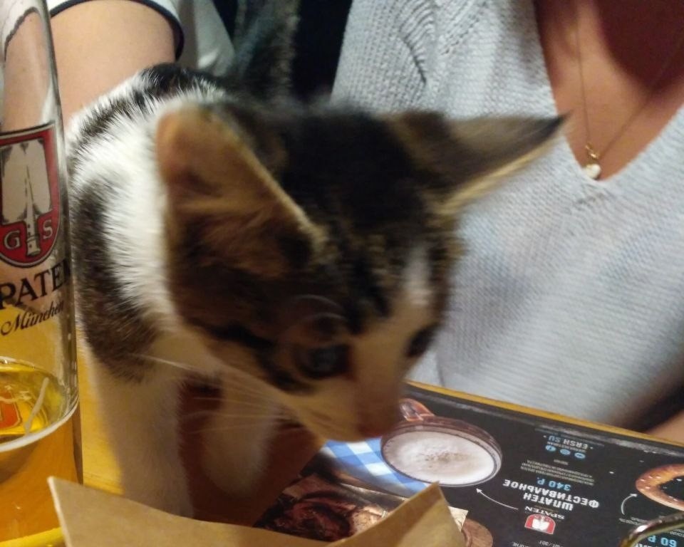 Ознакомился с меню