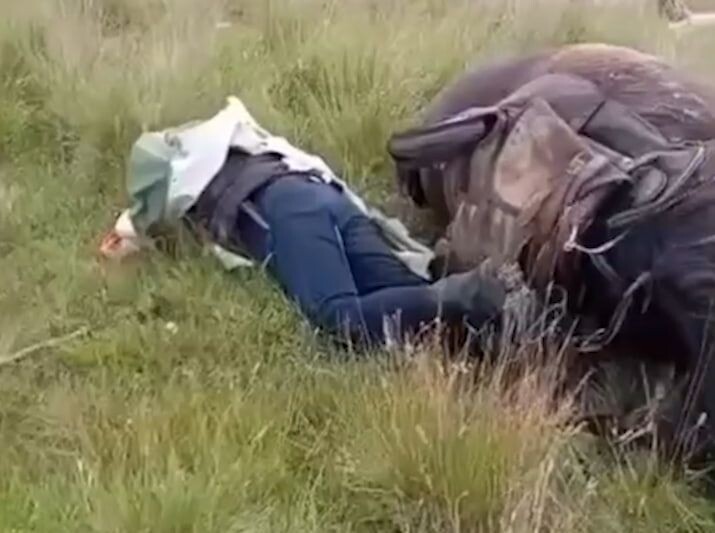     / Источник: Кадр из видео