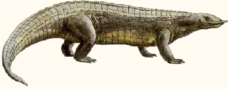 Этобарбакиноид.