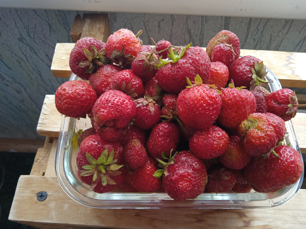 Купленная мной клубника. 