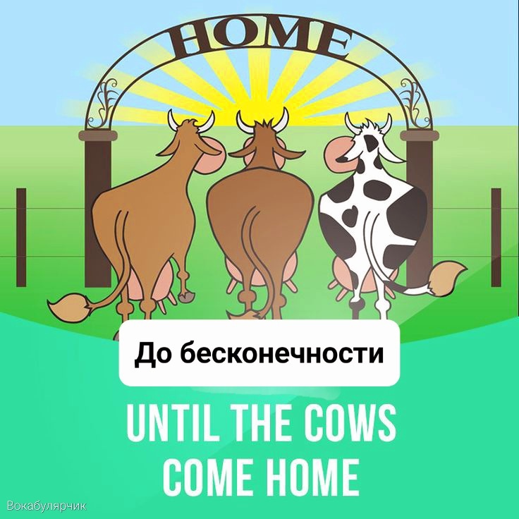 Целую вечность, до бесконечности. Значение фразы исторически связано с выпасом коров на нагорье Шотландии в течение нескольких месяцев.