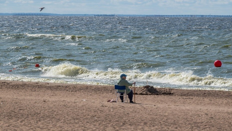    Пляж Солнечное в Курортном районе Петербурга. Взрослые с детьми отдыхают на берегу Финского залива. Автор фото: Тихонов Михаил