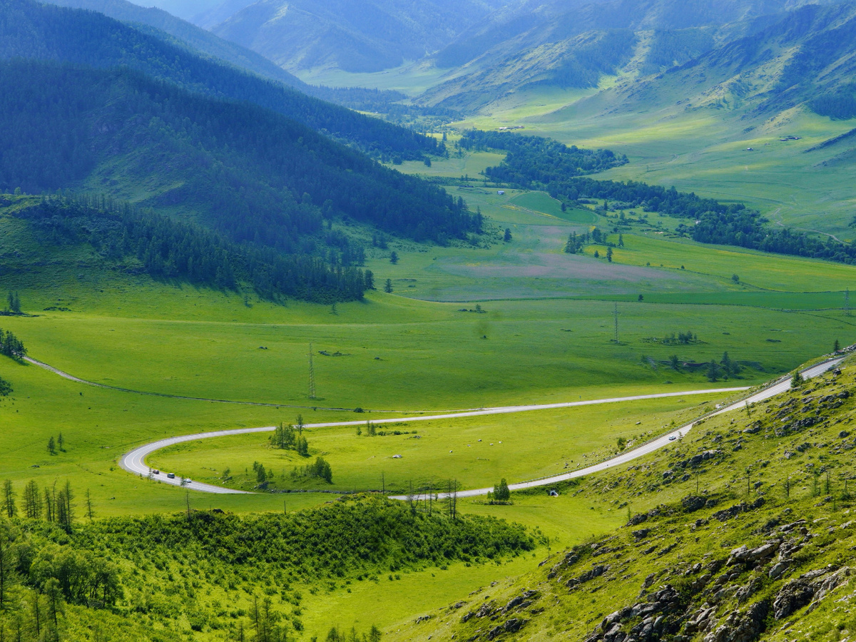 Снимала на свою камеру, и до сих пор мурашки от вида.