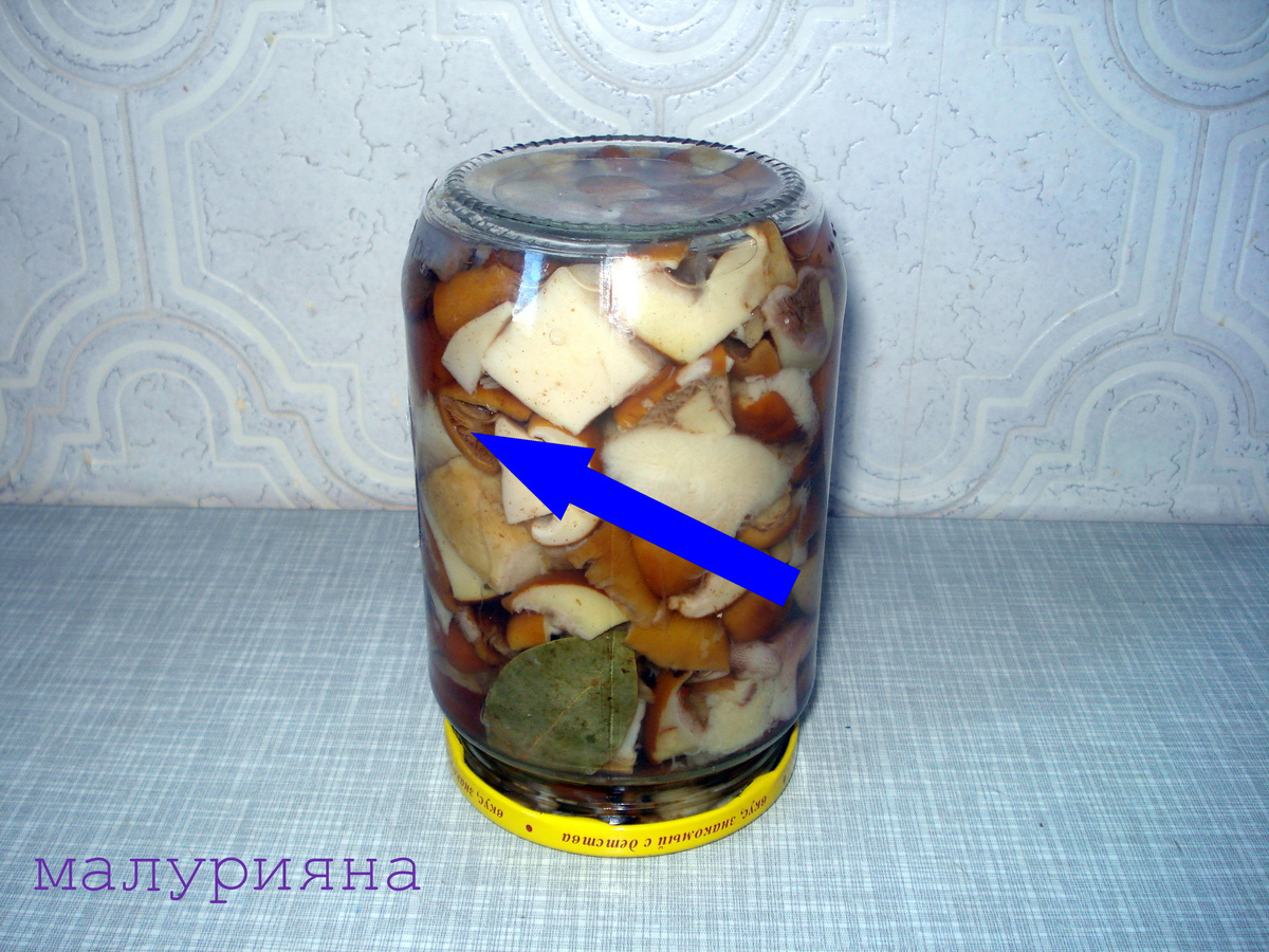    Маринованные маслята с лимонной кислотой — секрет хрустящих грибов без уксуса