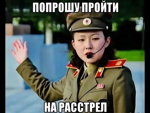 "Вы что, не хотите как в Северной Корее?"
