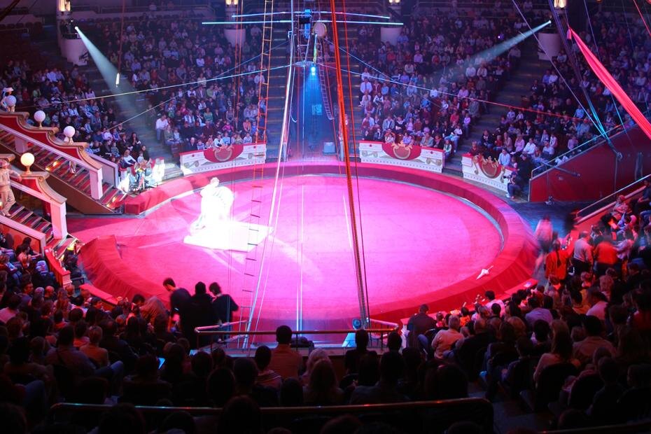    Shutterstock/FOTODOM