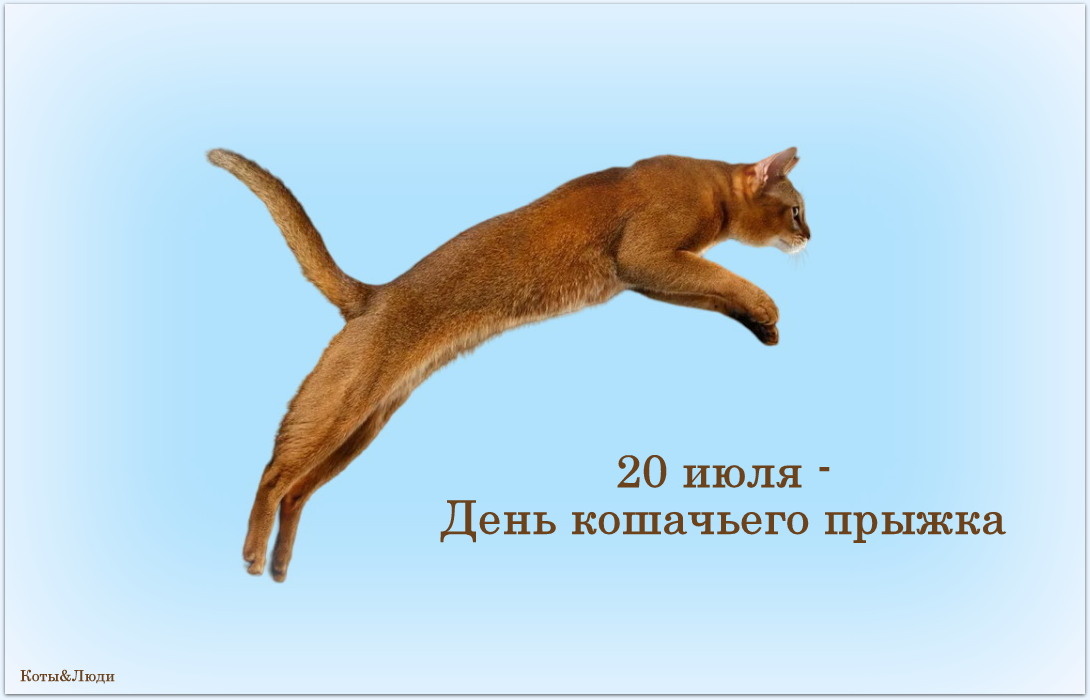 Коллаж автора