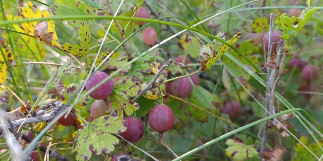 Мы разменяли жизнь на кусочки металла