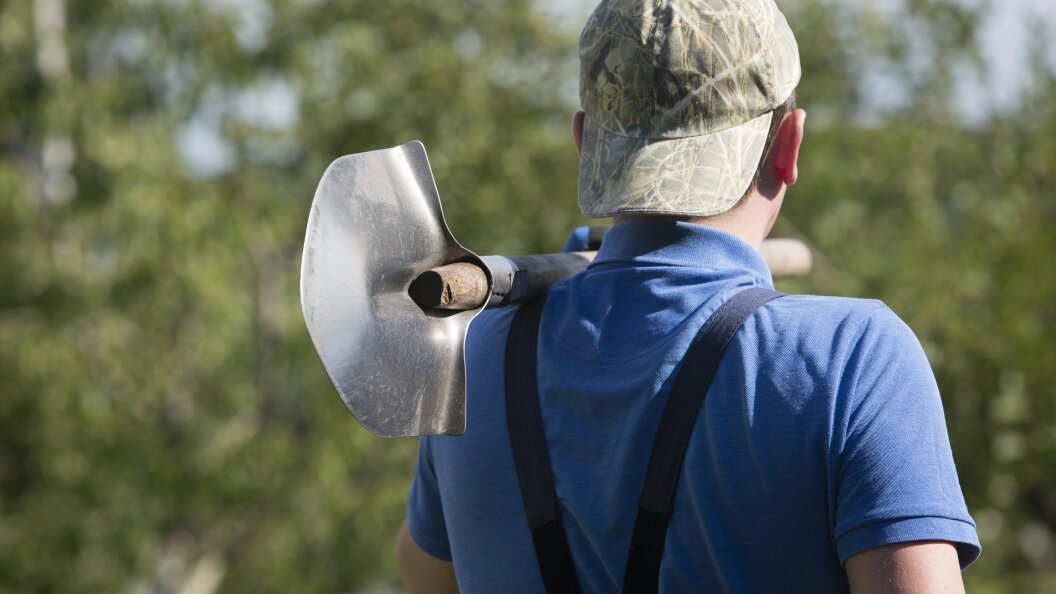    Фото: Nikolay Gyngazov/Globallookpress