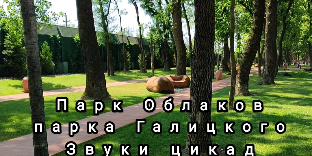 🌳В парке Облаков парка Галицкого как на курорте. Звуки цикад.