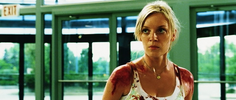 Изображение взято из открытых источников интернета.