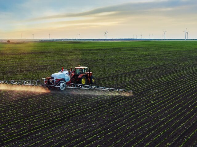    Фото: 123RF/valio84sl