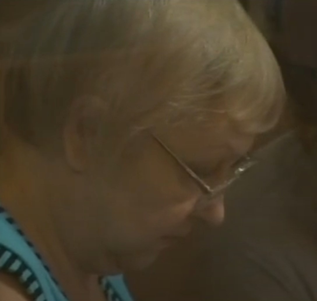 Елена Данилова