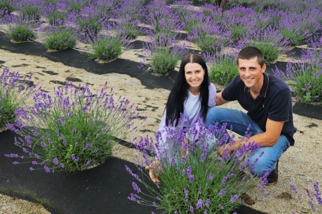   Фото: администрация Зеленоградского округа