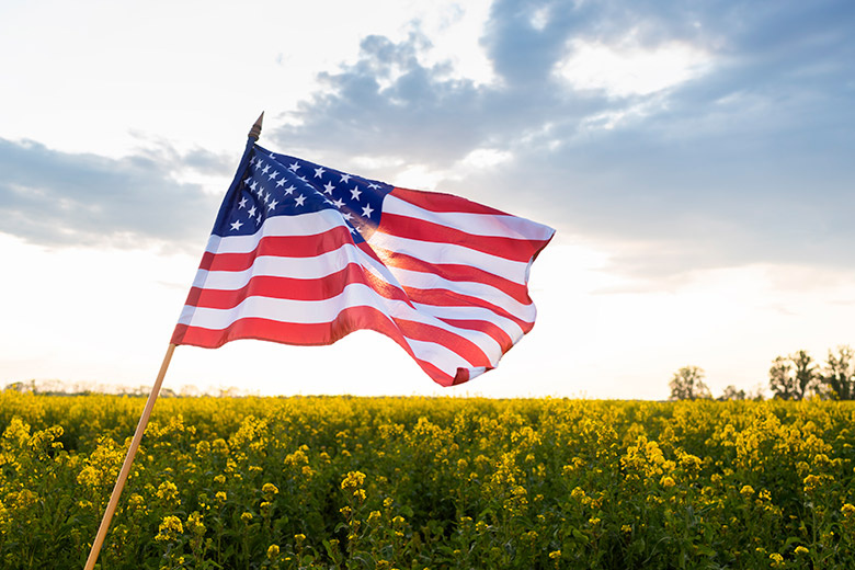    Shutterstock/FOTODOM