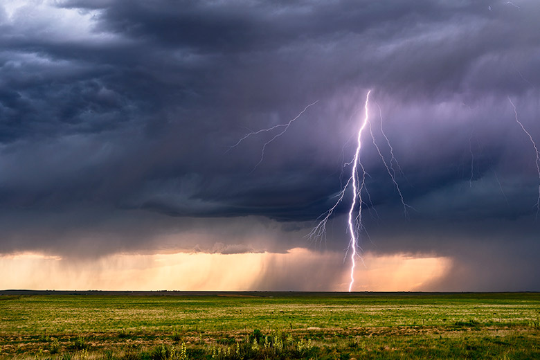    Shutterstock/FOTODOM