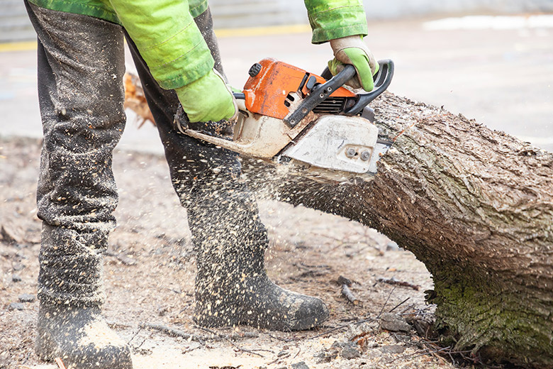    Shutterstock/FOTODOM