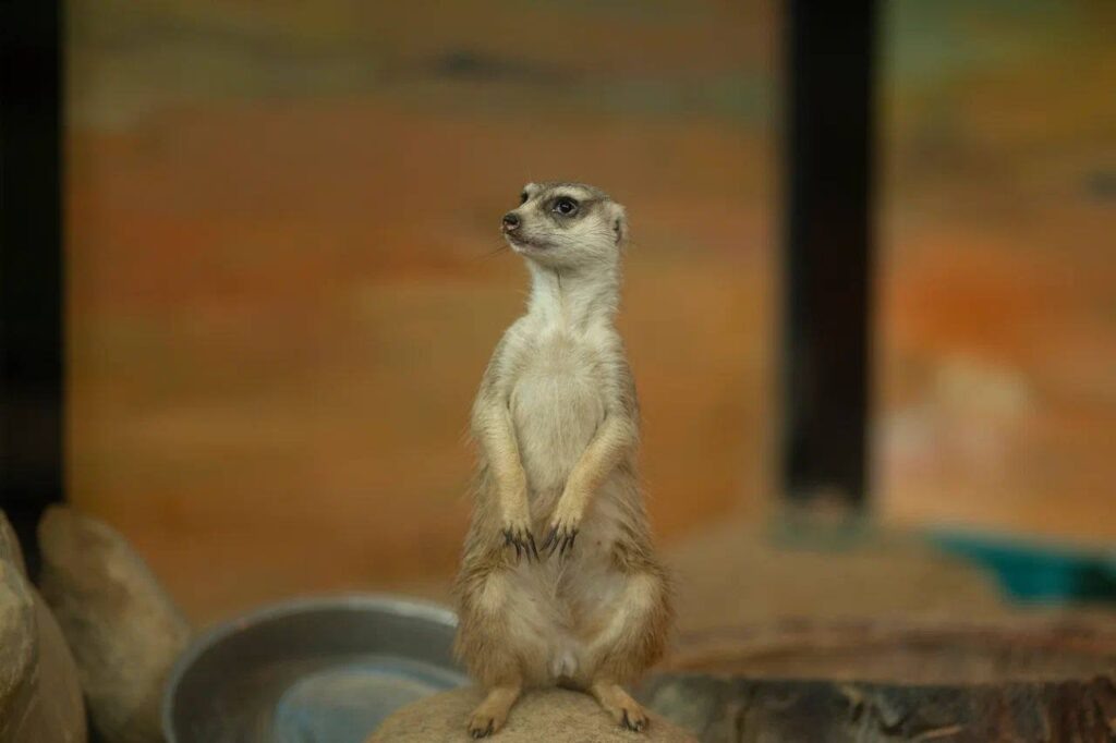    Фото: администрация города Смоленска Елена Воронцова