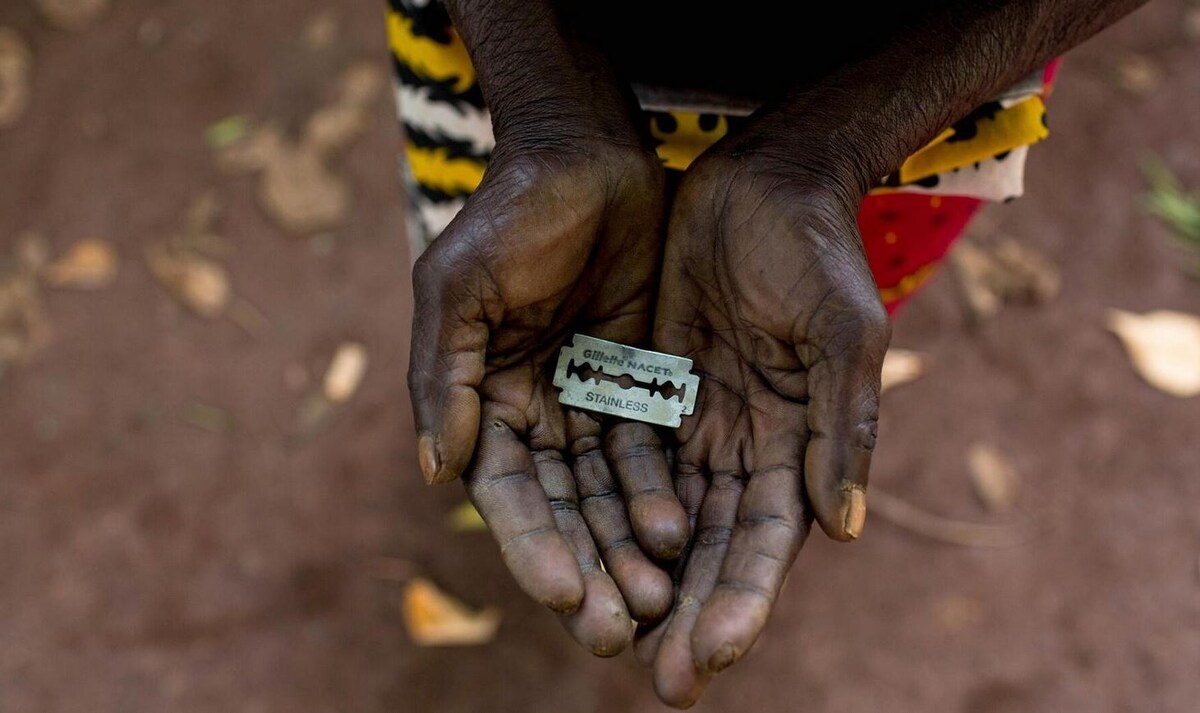 Источник: ЯндексКартинки