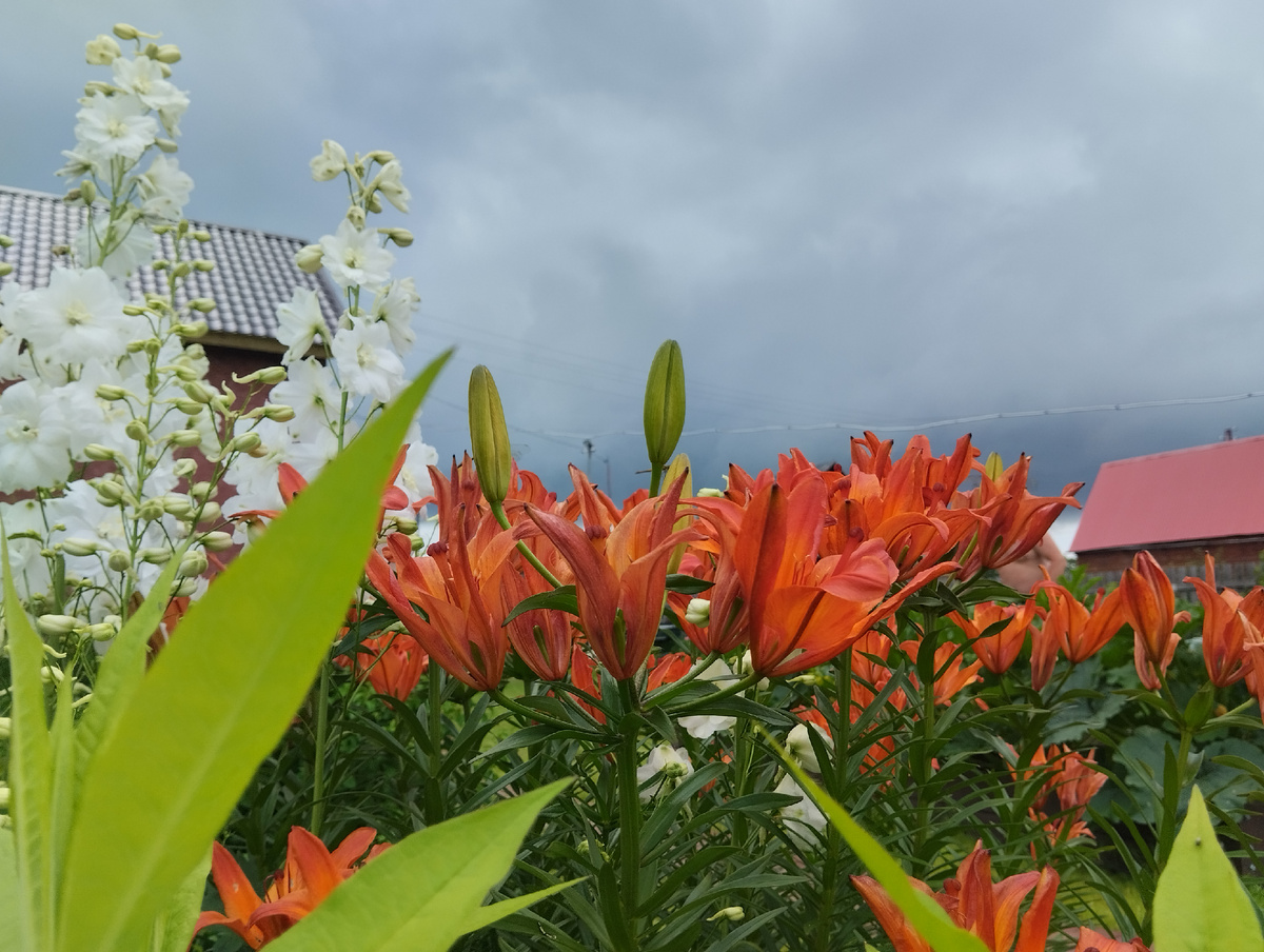 Тучки гуляют