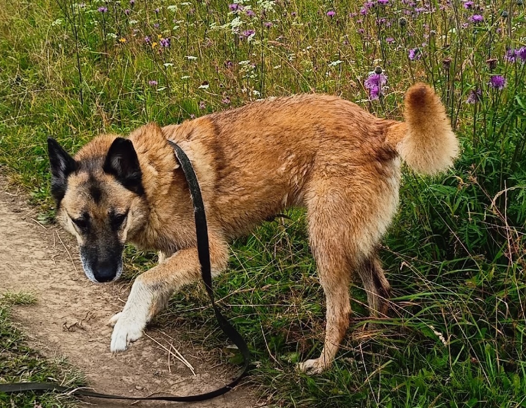 Кит июль 2025