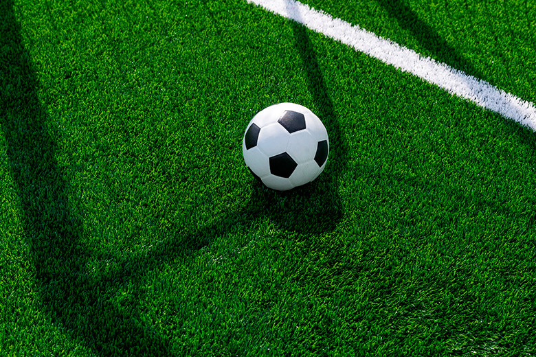    Shutterstock/FOTODOM