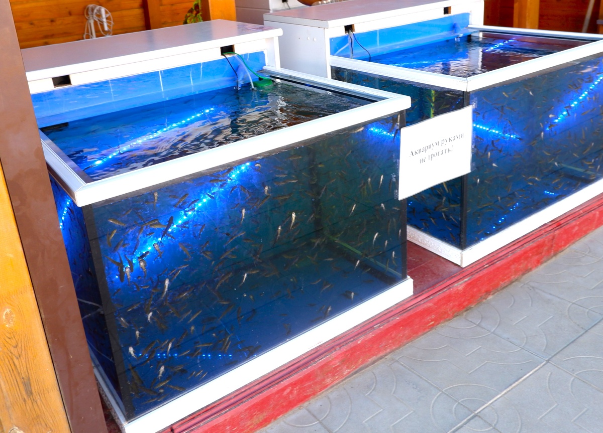 Кусь за ногу)