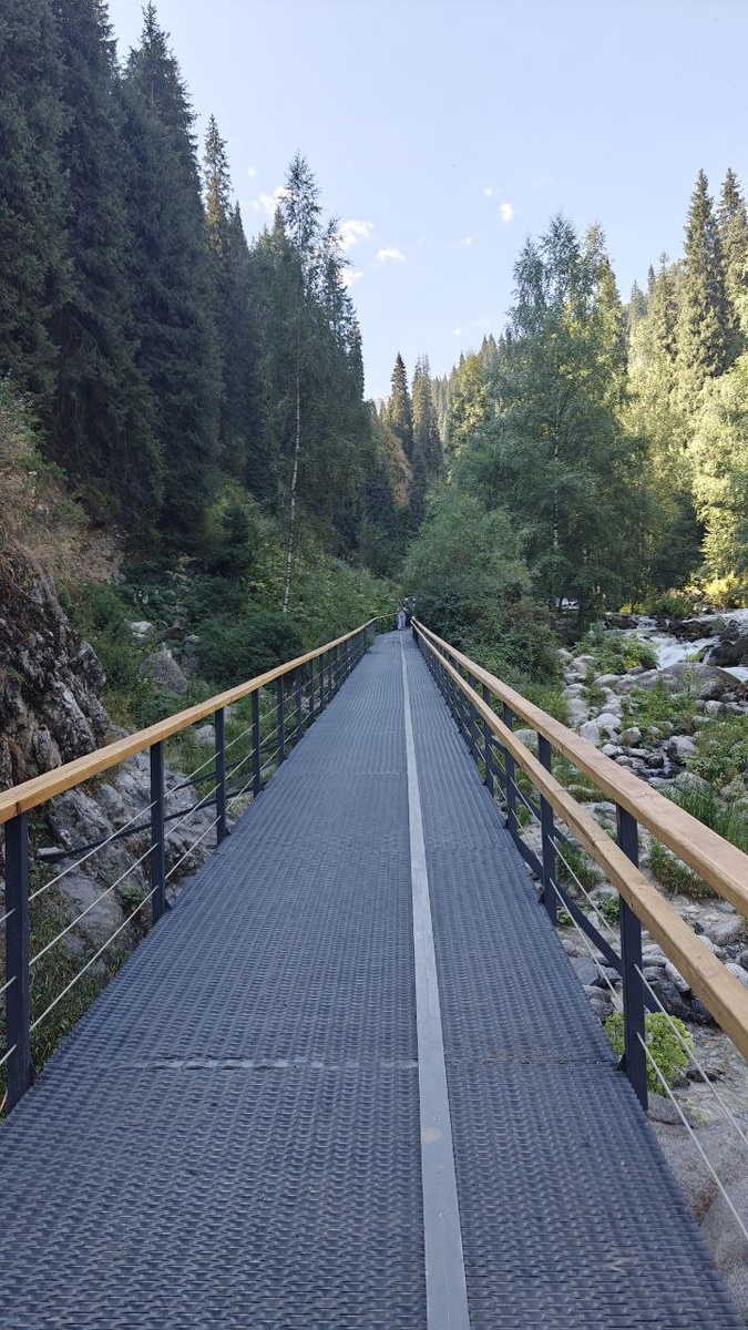 Новые дорожки