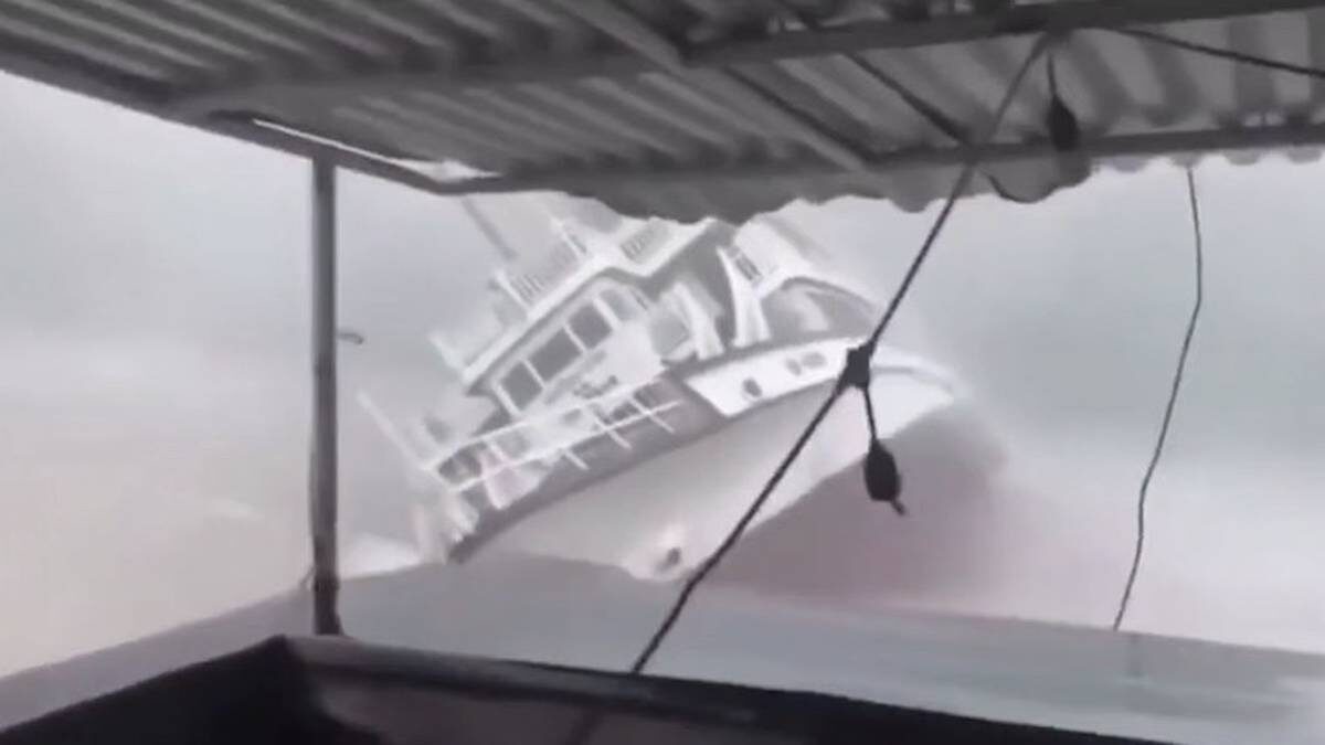    Фото: Telegram /