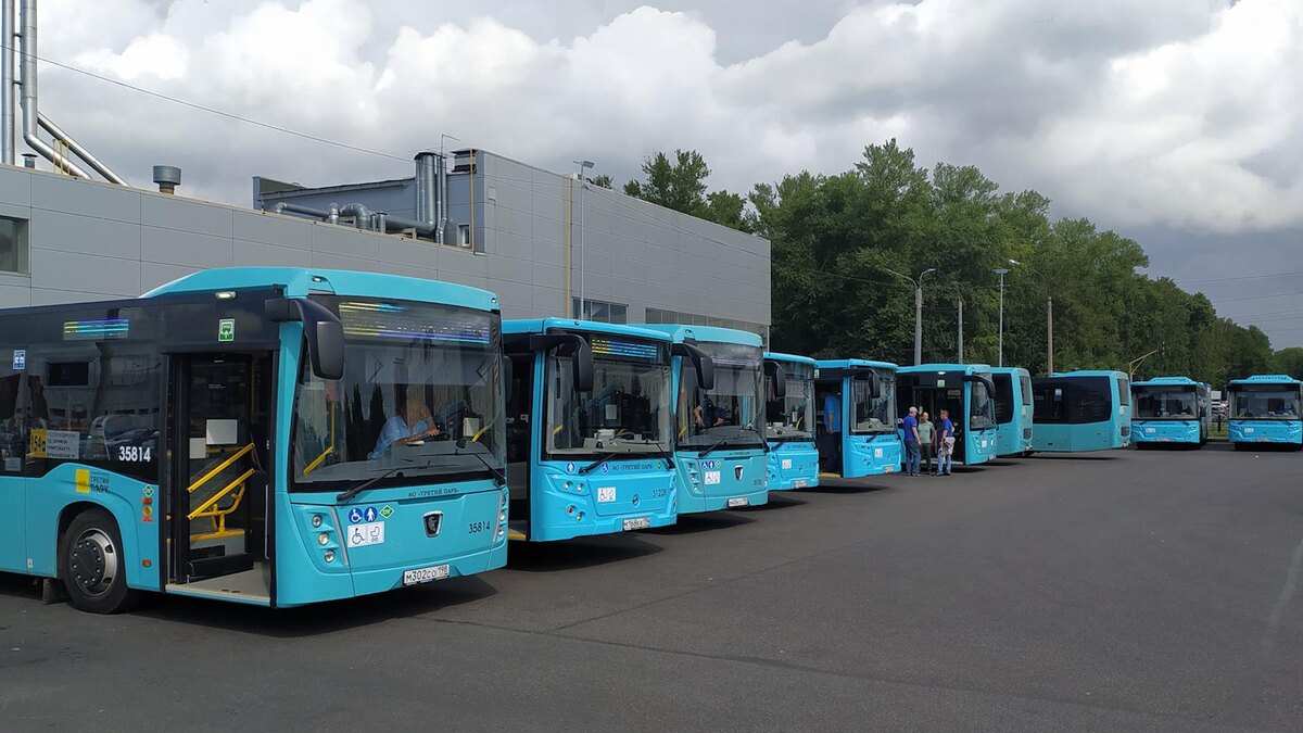    Фото: Maksim Konstantinov/globallookpress.com