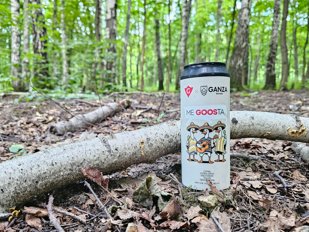 Me Goosta 2, фото автора