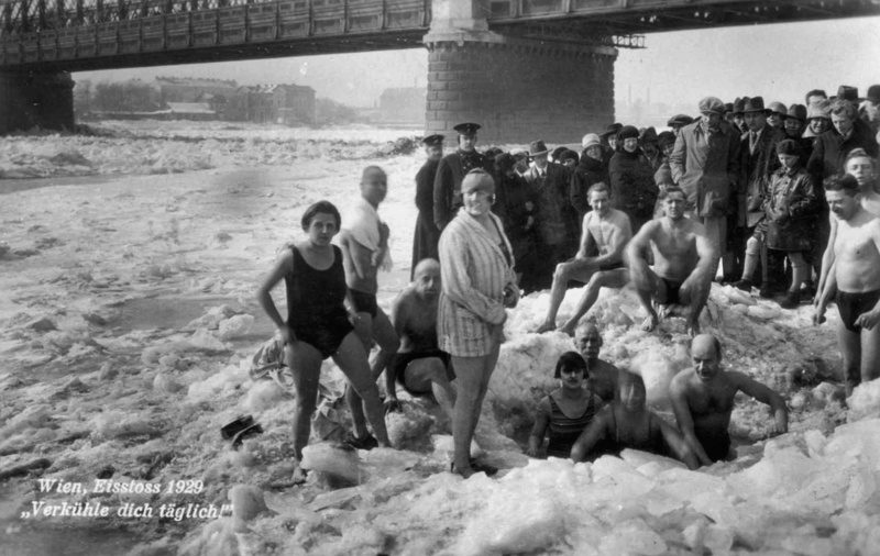 Австрия и австрийцы в конце 1920-х гг. Общественное достояние