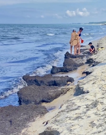 Балтийский берег