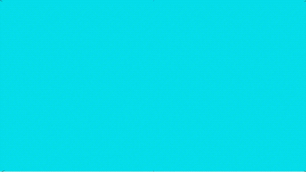 Люблю тюльпаны