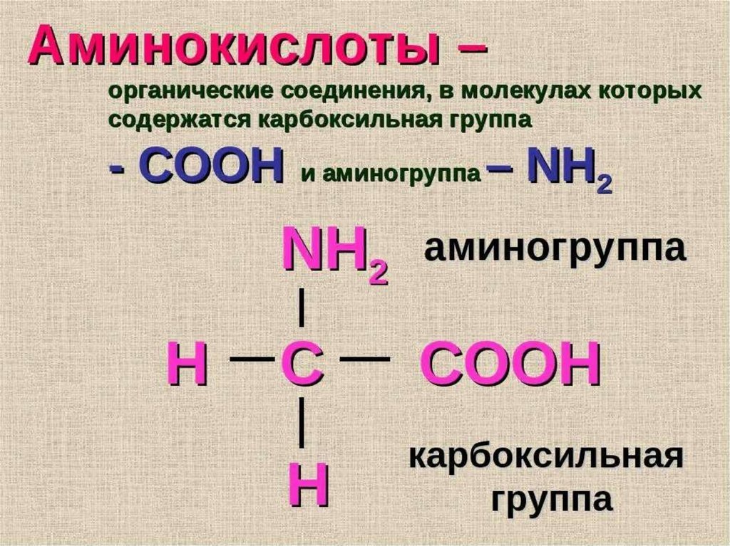 Фото из интернета. Нужны ли растениям аминокислоты