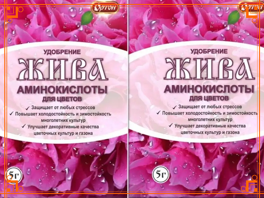 Фото из интернета. Зачем растениям аминокислоты