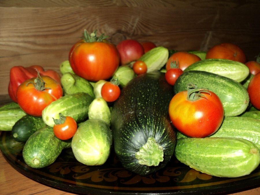 Благодатное время овощей с грядки