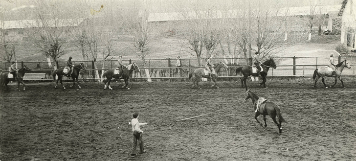 Урок верховой езды