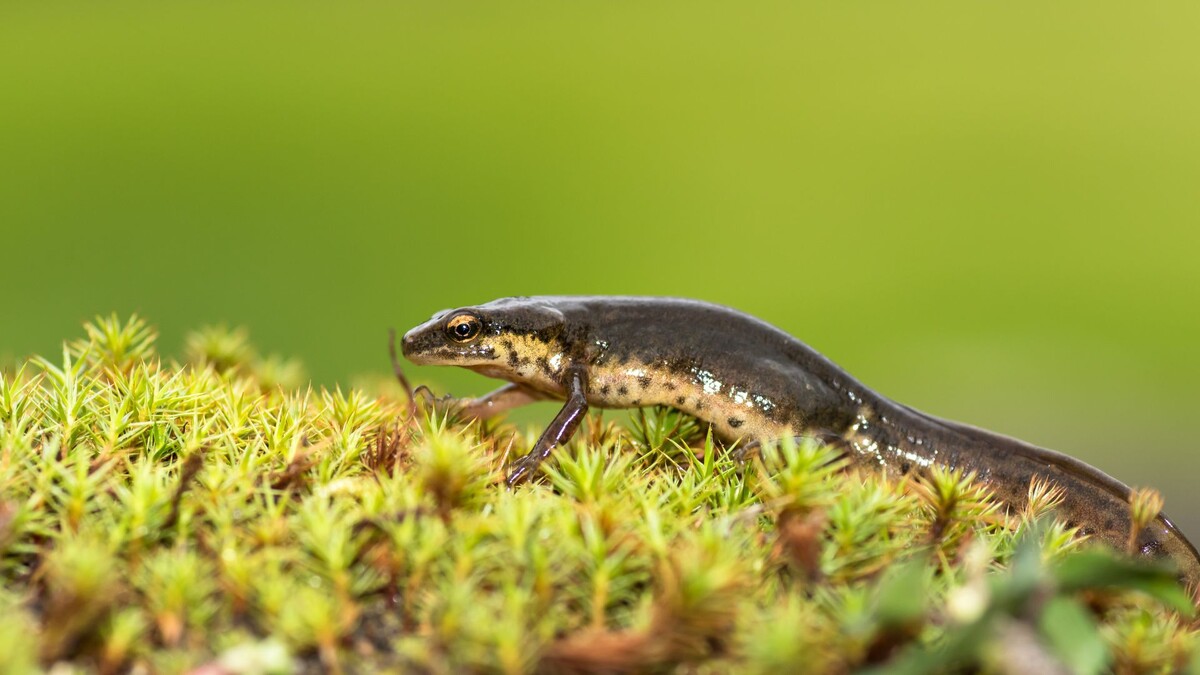  Фотография взята из открытых источников