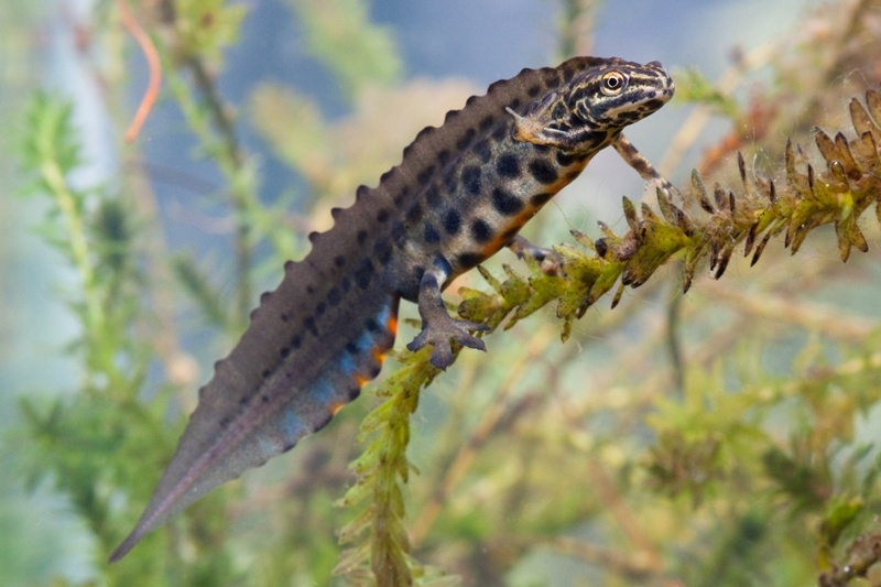  Фотография взята из открытых источников